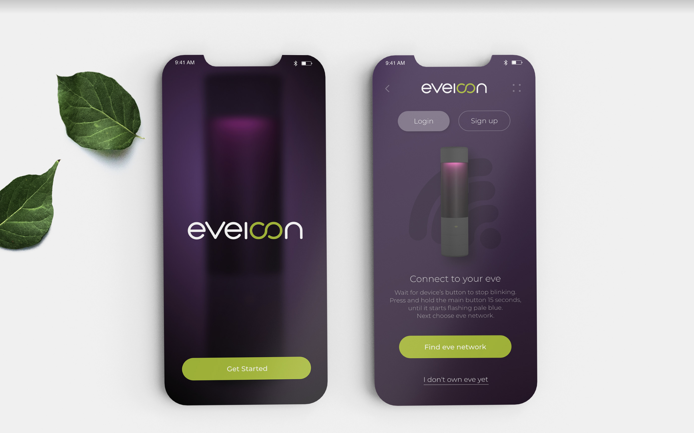 Eveloon app — splash screen and Connect to your eve screen on a light background with green leaves.